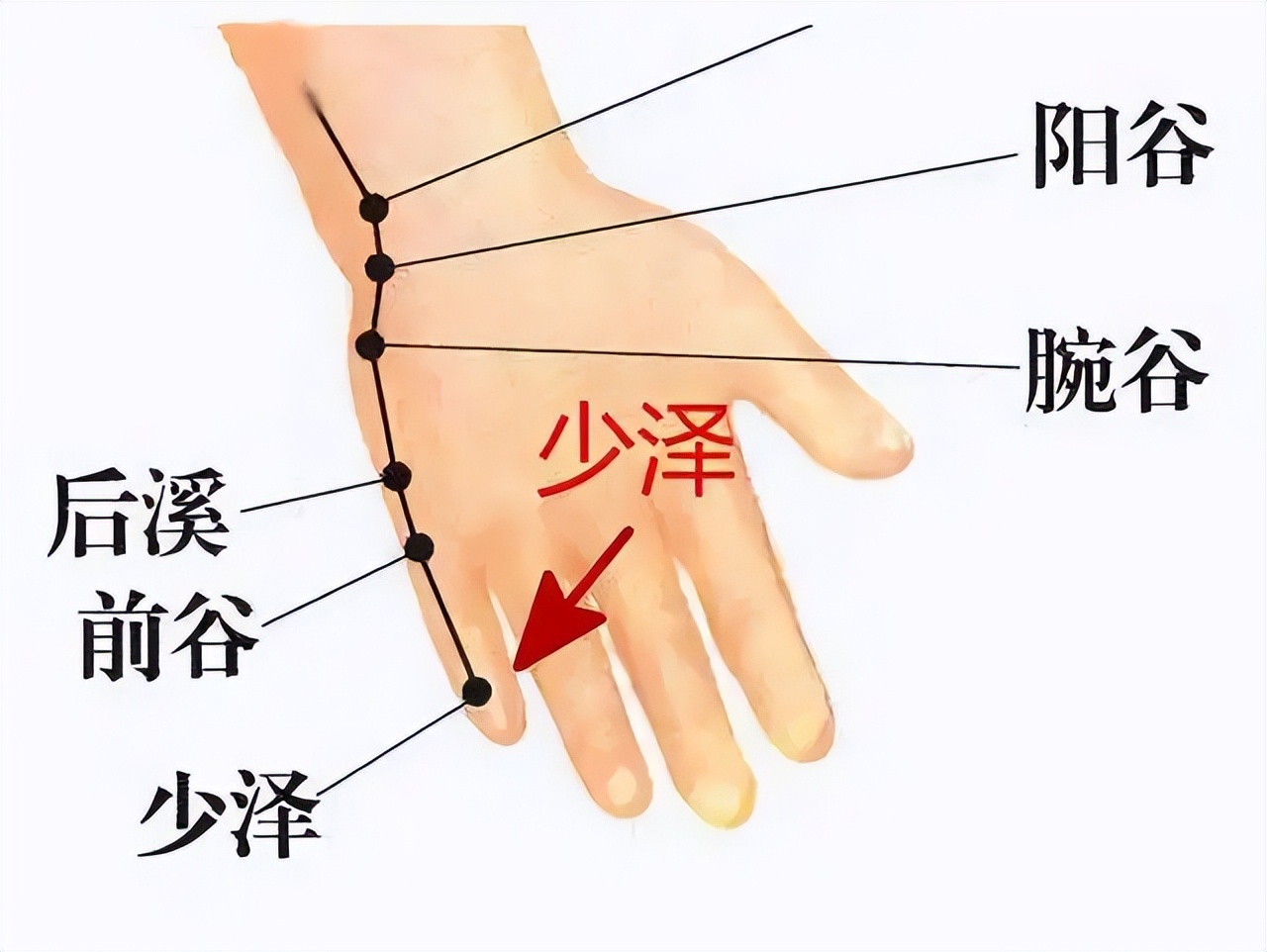 中医治小儿厌食针灸穴位,董氏针灸治疗帕金森处方