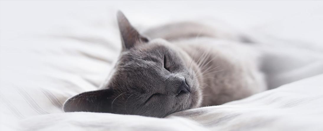 老年人热射病高烧不退后果,气温30度容易得热射病吗