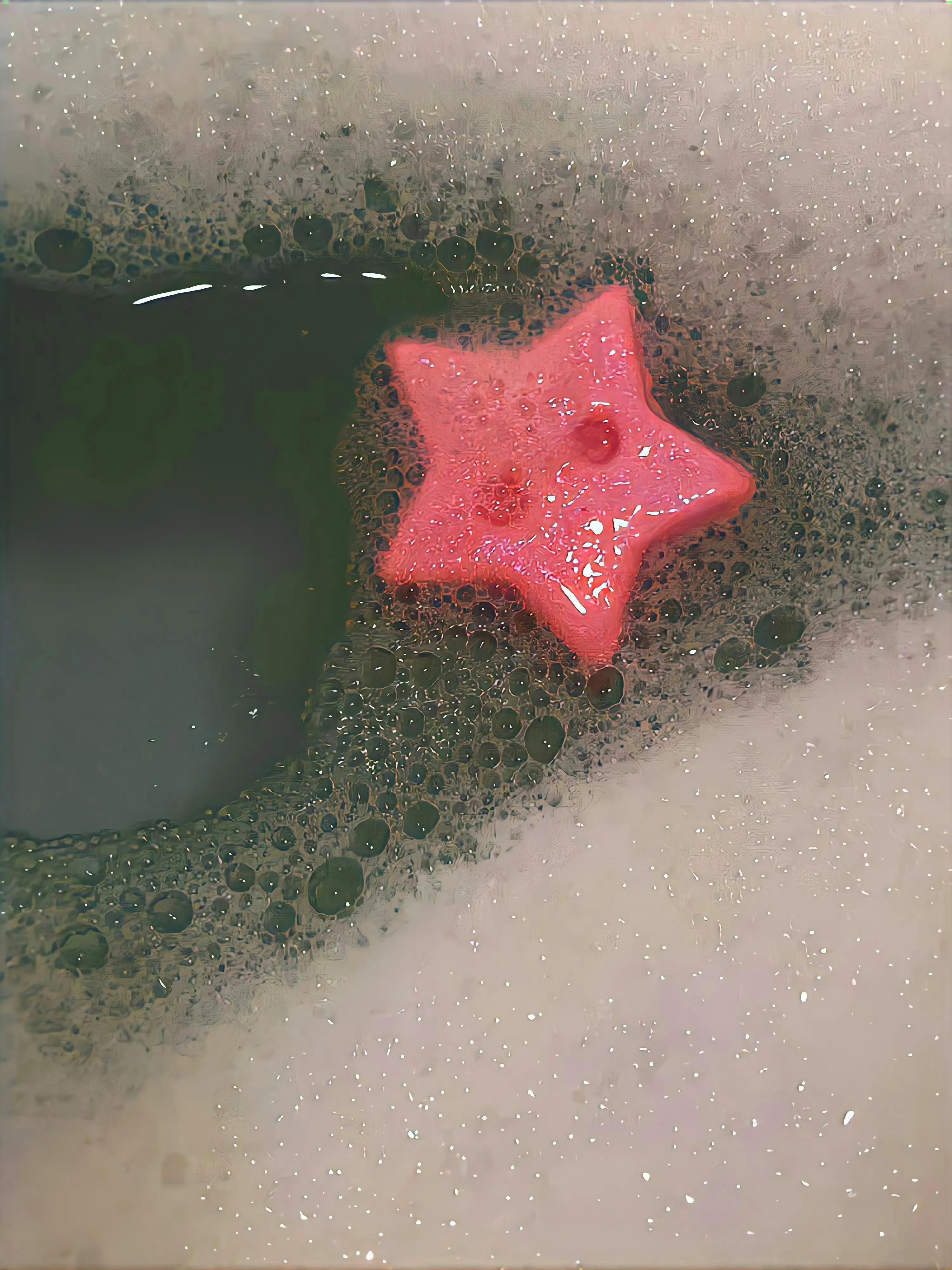 爱迎万难文字封面背景图,因为喜欢可迎万难背景图