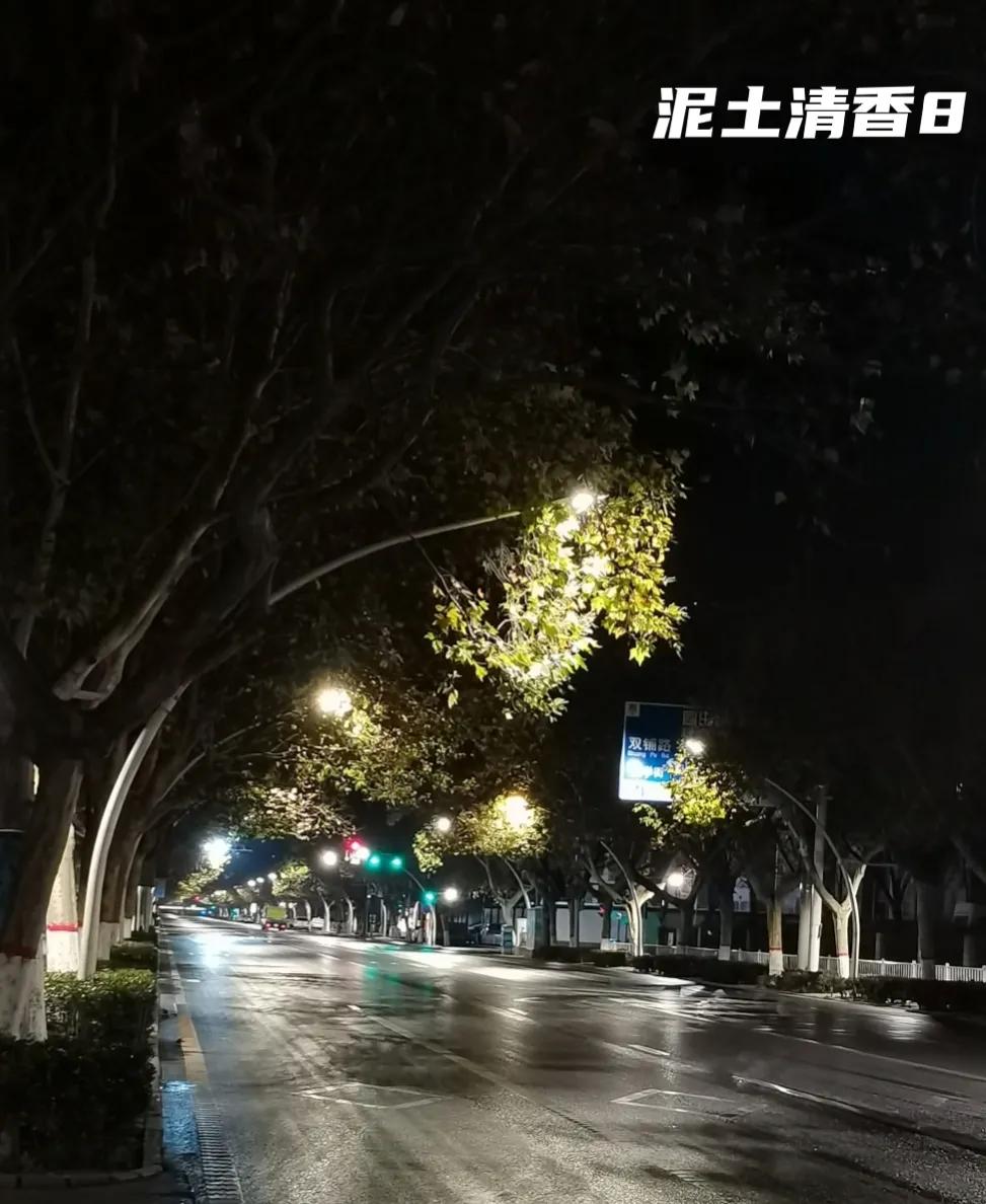 郑州风景优美的夜景,郑州初冬的风景