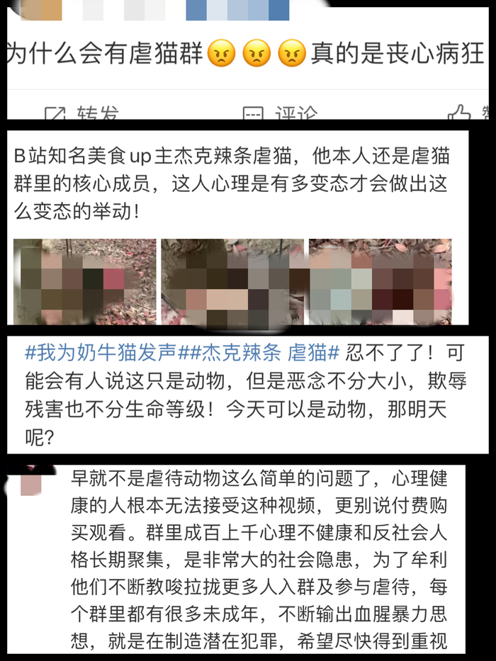 怎么看待杰克辣条虐猫事件,为杰克辣条虐猫发声的主播