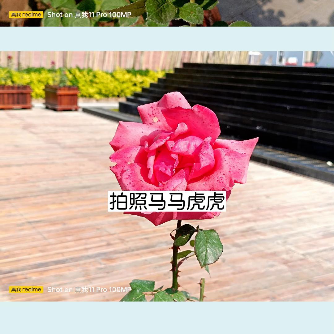 真我11pro测评处理器,真我11pro手机处理器跑分