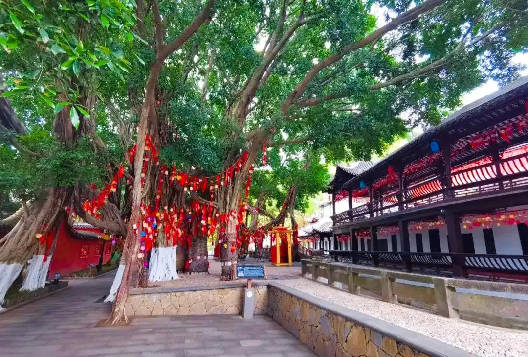 朝辞白帝彩云间中的白帝城指,早发白帝城和朝辞白帝彩云间