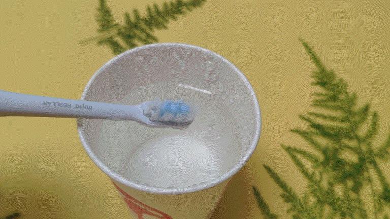 米家声波牙刷t302值得买吗,米家声波电动牙刷头t300