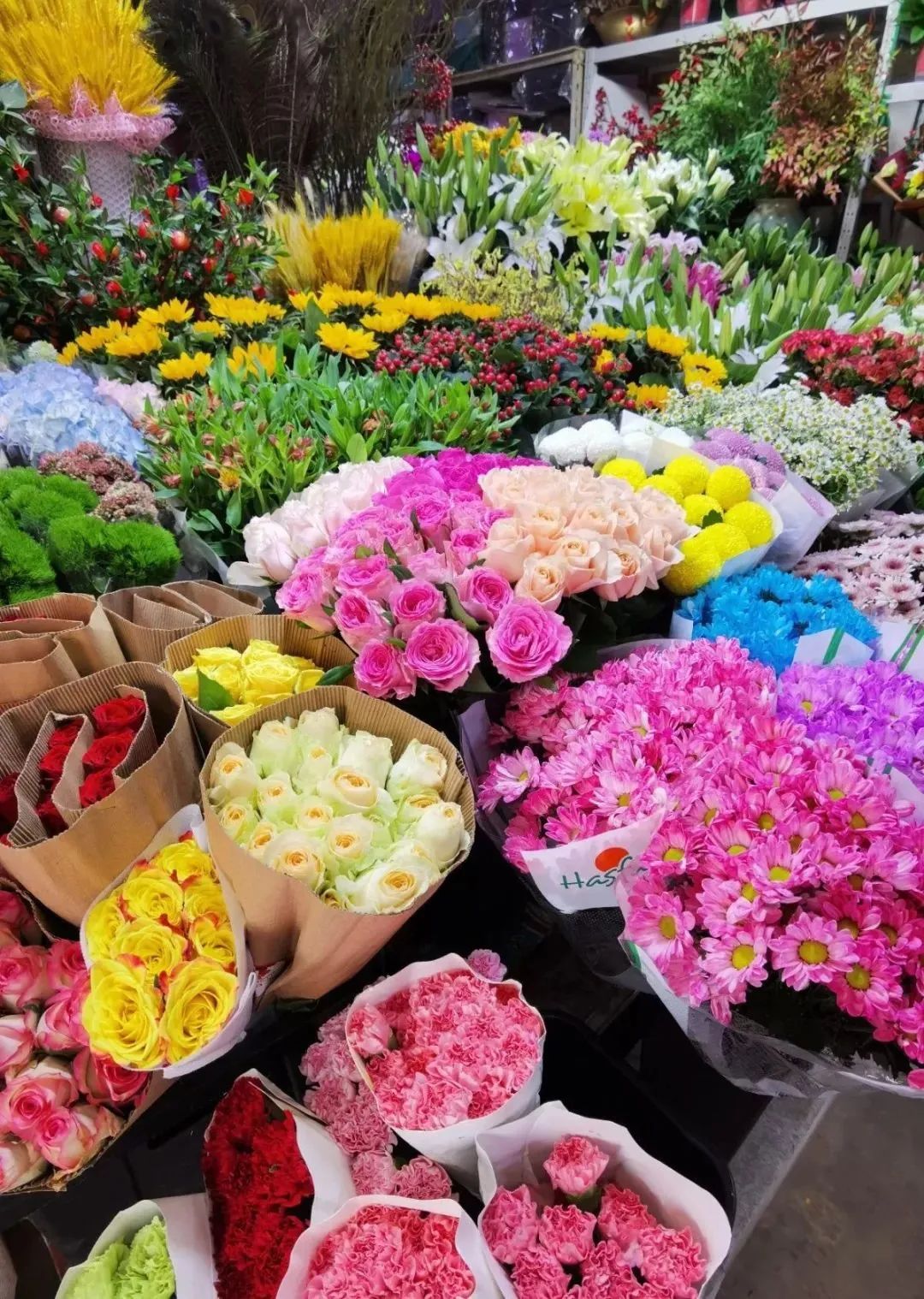 雨雪天气,来济南这些宝藏花市再合适不过了!快去把春天的浪漫抱回家吧!