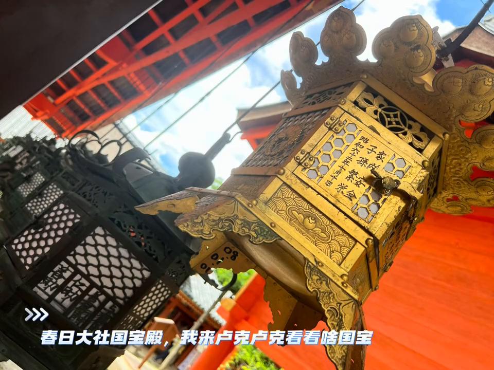 奈良看鹿浅草寺,奈良看鹿