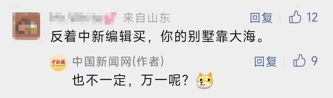 世界杯半决赛预测结果,世界杯半决赛的预测