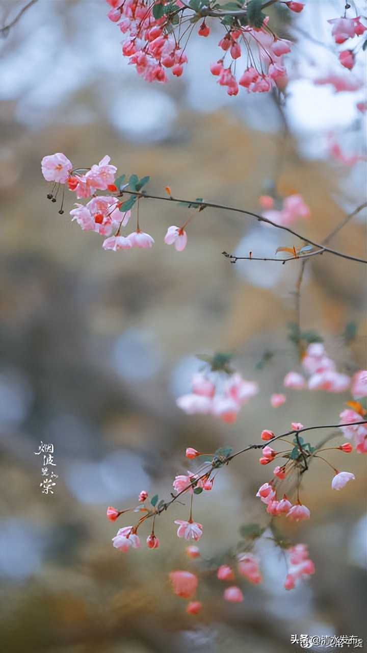 安慰顾城摘抄句子,亦是顾城文案句子摘抄