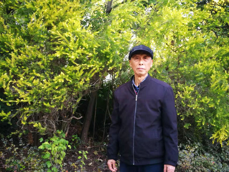 株洲市阳光新城,株洲魅力新城全景