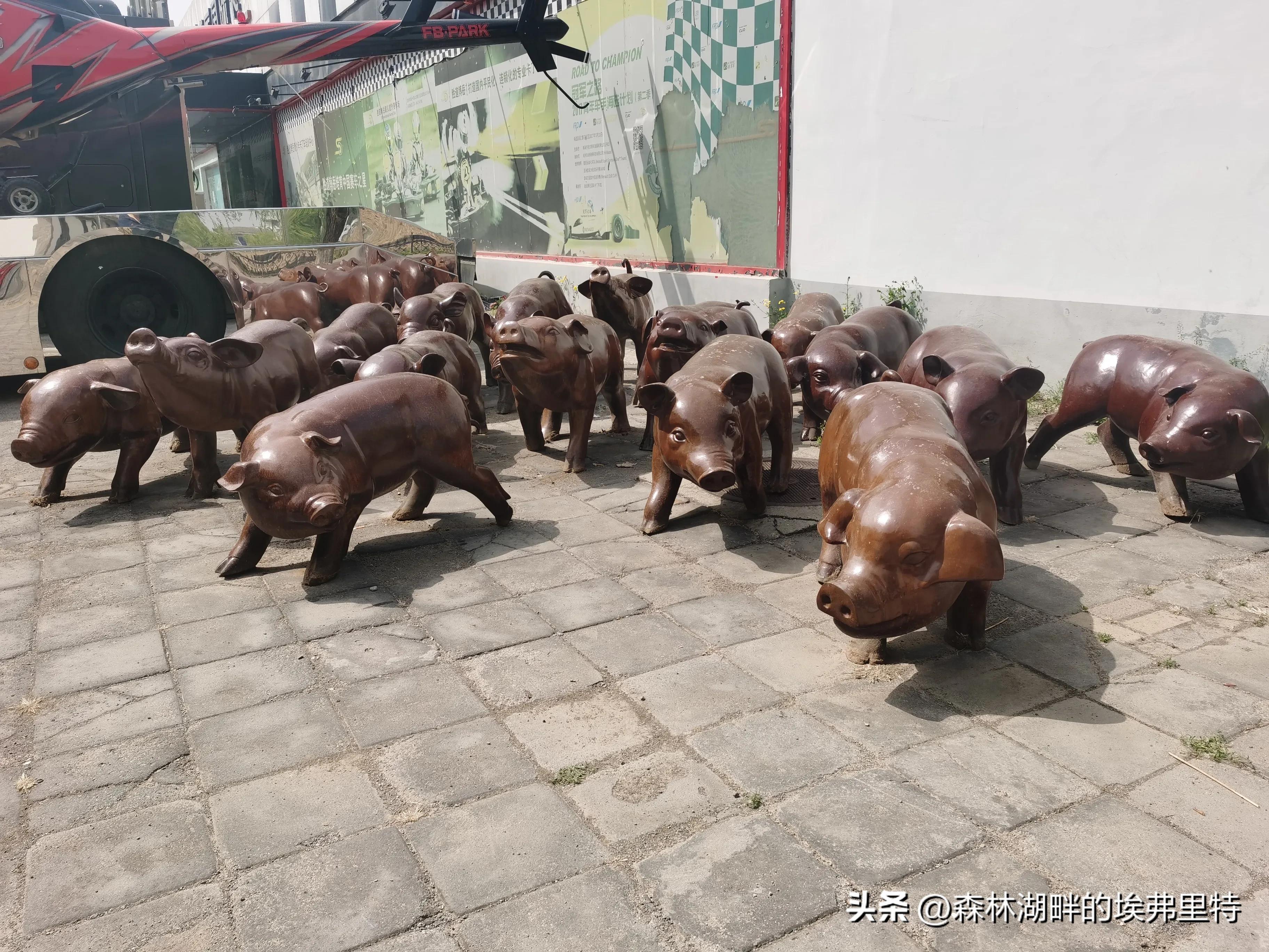 蟹岛度假村火灾,蟹岛度假村视频