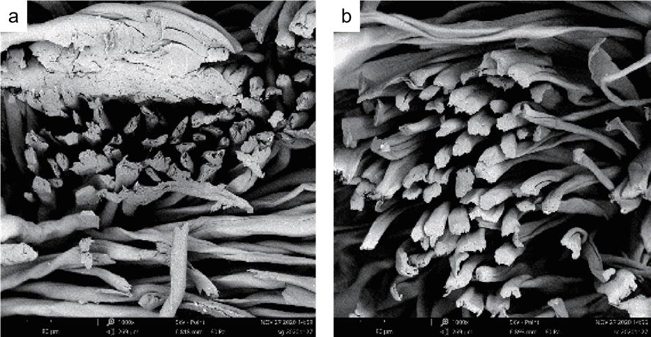 繁花防火丝光棉,繁花火山丝光棉