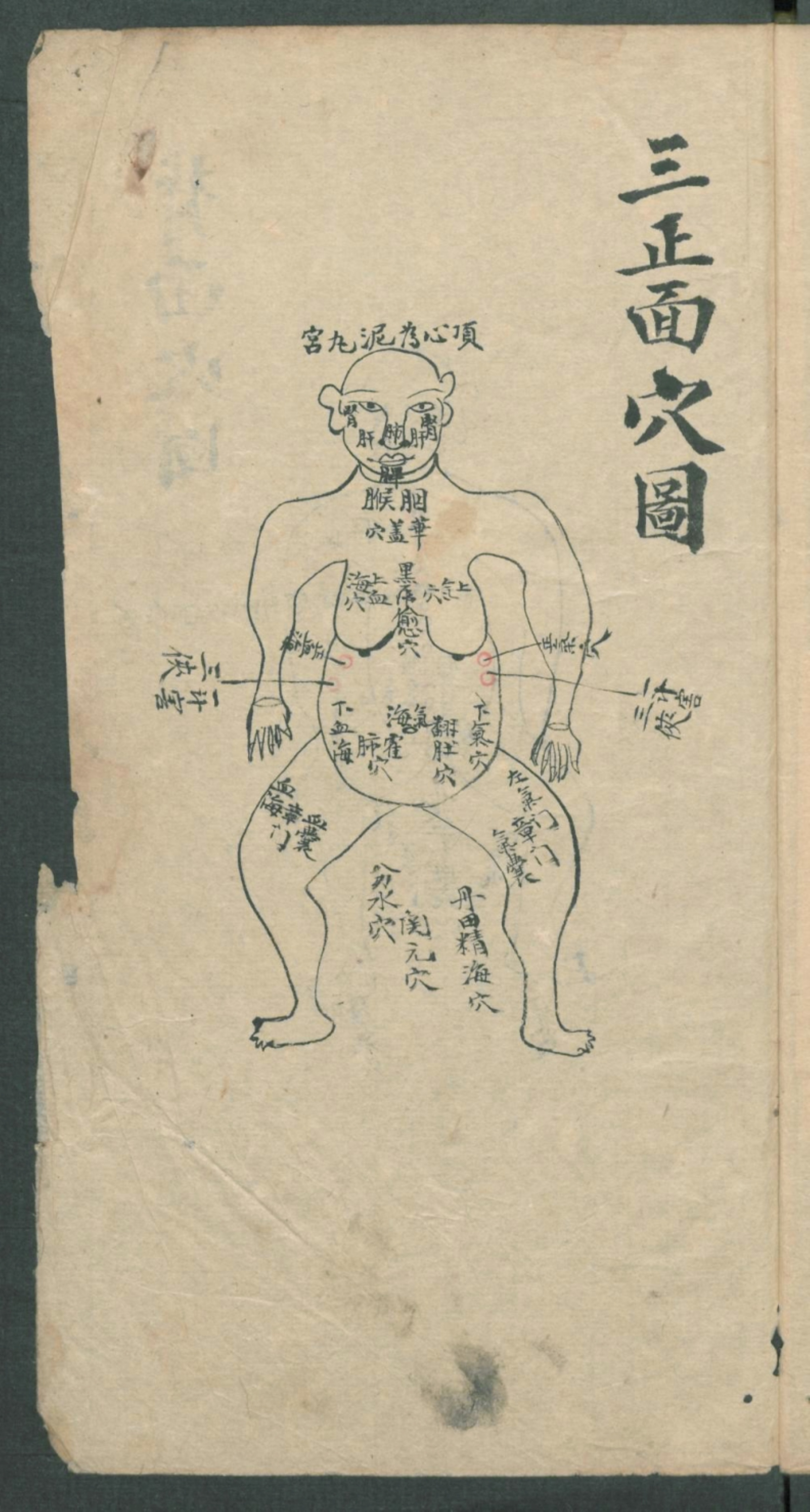 秘传跌打秘方,秘传跌打药方