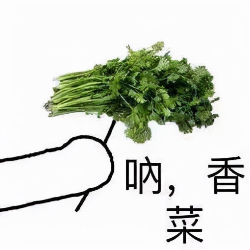 麦当劳上新香菜冰激凌,麦当劳新出的香菜冰淇淋