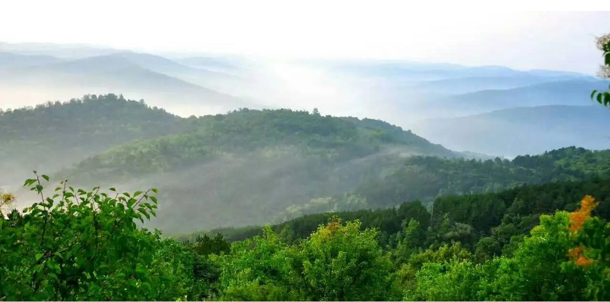 黄河水变清澈有何征兆,黄河水变清澈了是真的吗