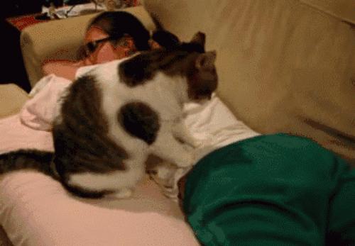 急性咽炎能用小针刀吗,深圳福田医院小针刀