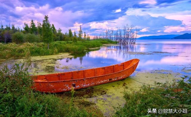 去有风的地方像个没人的地方,去有风的地方到底演的什么