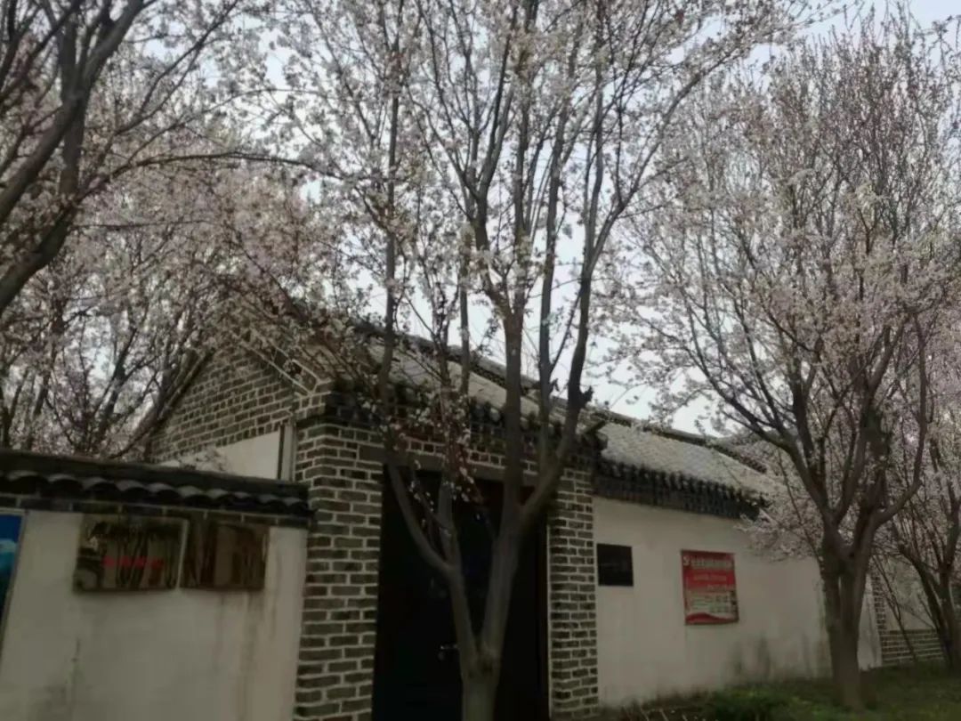 临沭最是鱼水两相依