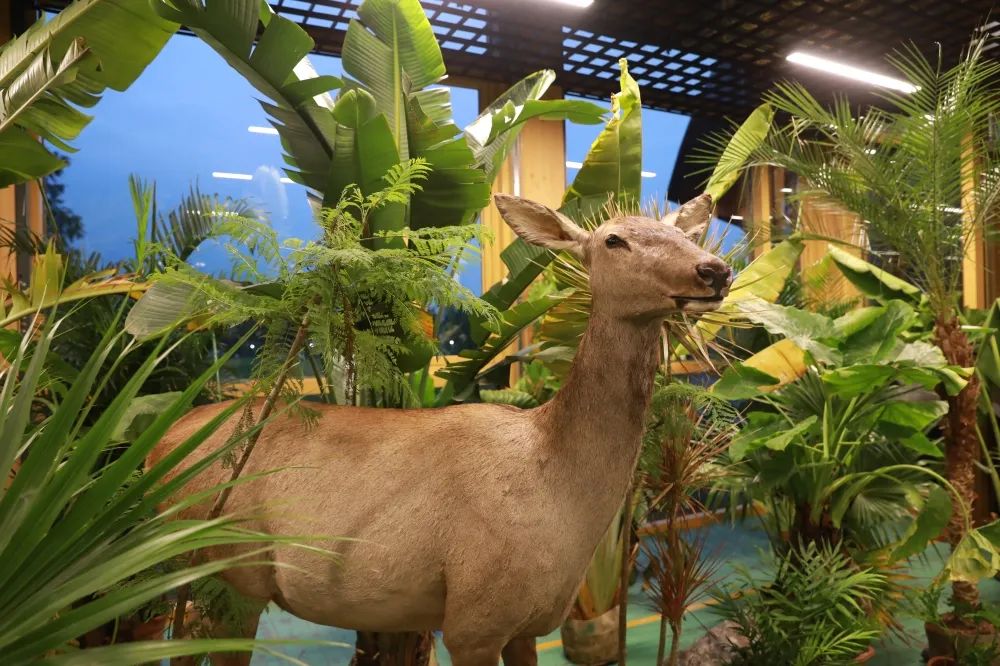 天府农博游玩心情,天府农业博览园一日游