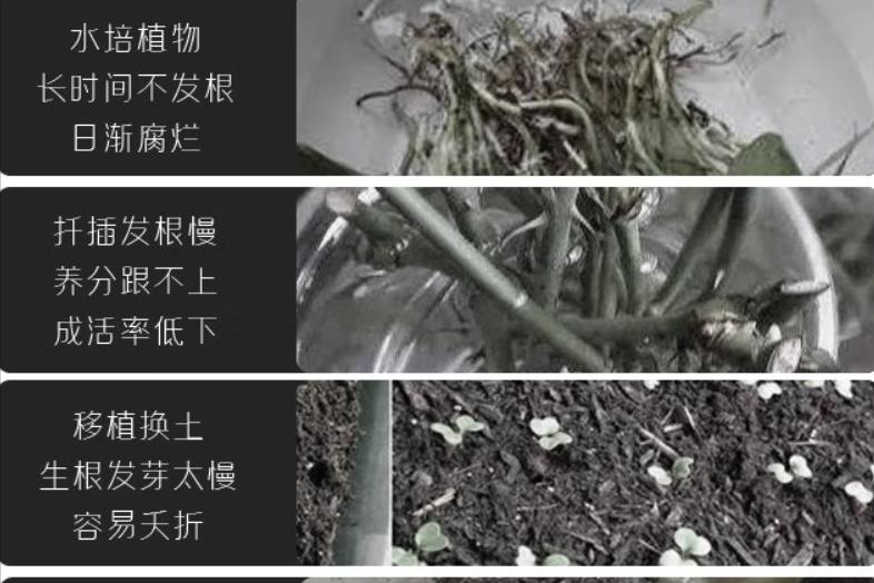 花苞开得过早怎么办,如果花苞一直打不开怎么办