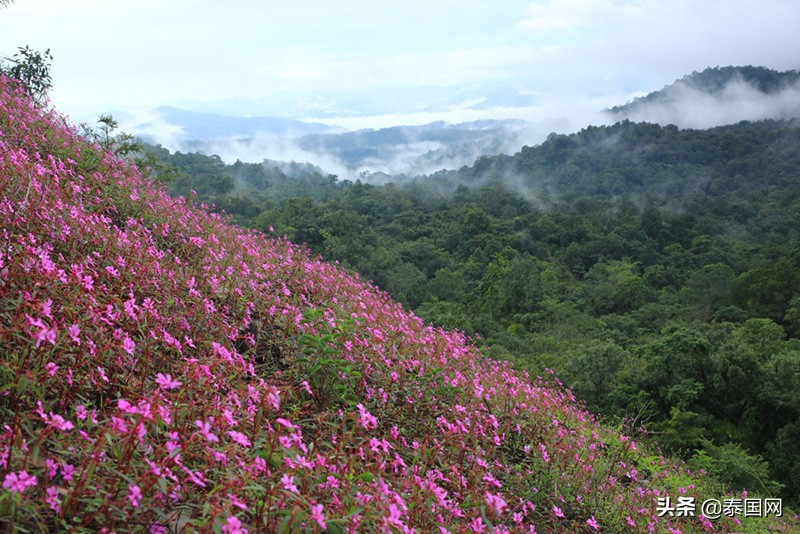 泰国假期旅游景点攻略推荐,泰国1月旅游必去十大景点