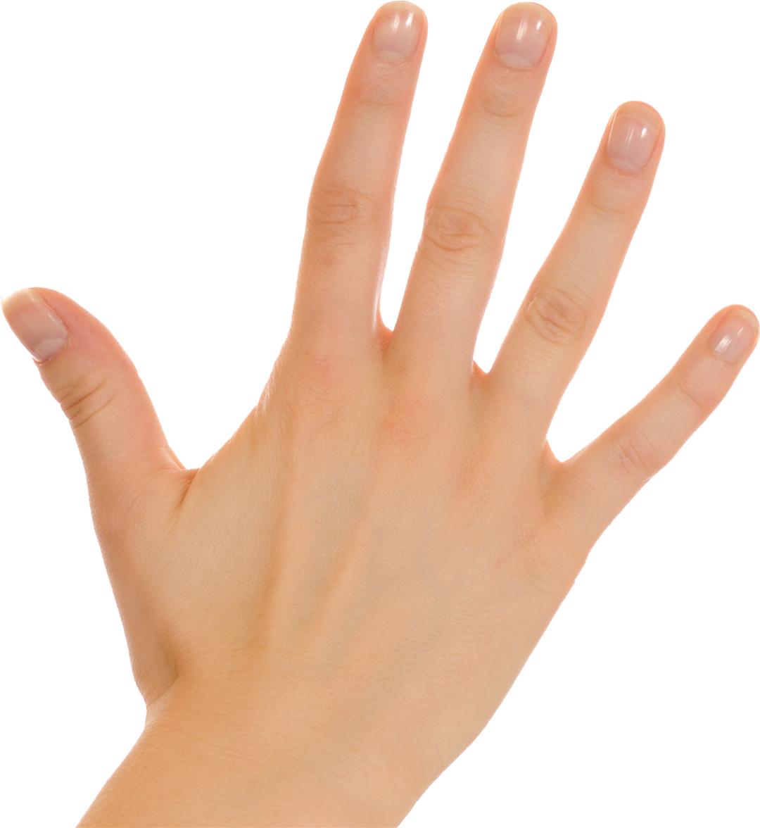 看指甲知道身体状况,指甲的颜色代表你身体健康不健康