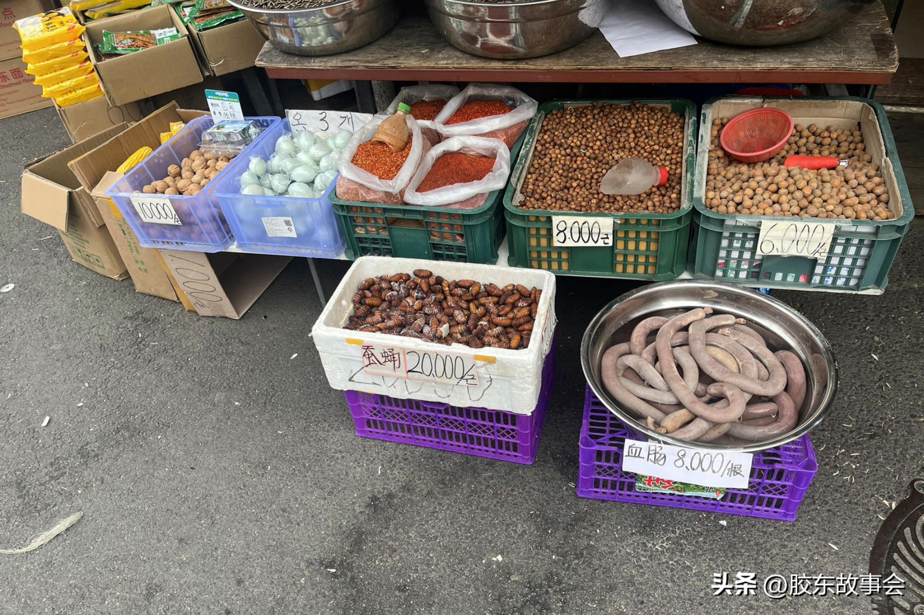 栖霞哪里有批发大蛹的,韩国人去市场买超大章鱼