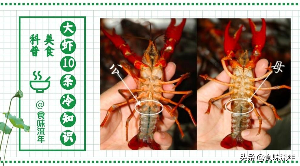 虾仁白灼虾正确做法,虾头不要的盐水虾的正确做法