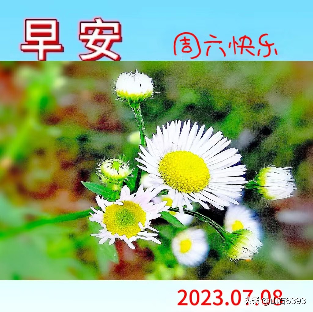 陈民“永远的78师”74：瞎参谋乱干事胡助理～司政后机关的精英们