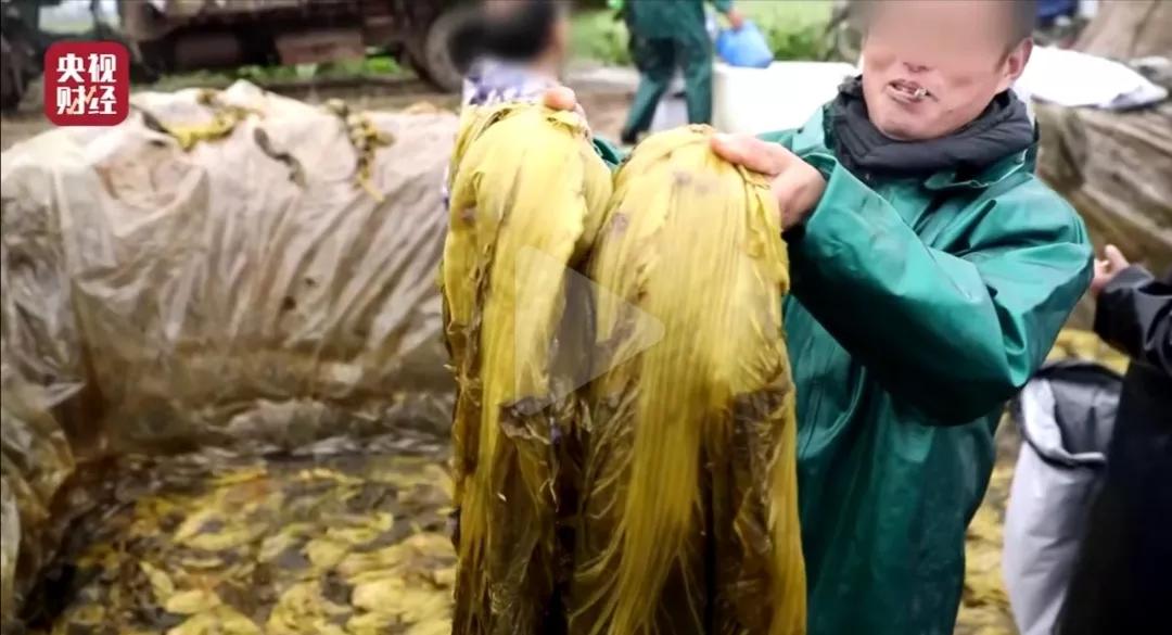 坑人骗人的十五款产品,十大坑人产品曝光