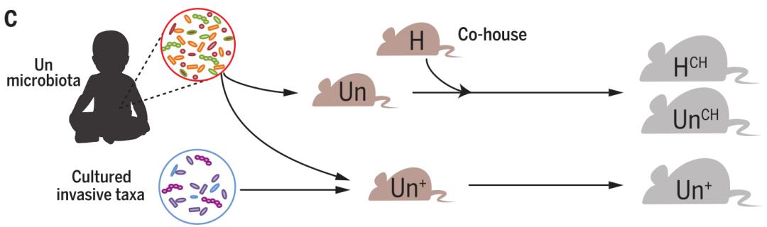 营养不良发育迟缓怎么办,宝宝发育迟缓营养不良不开口说话