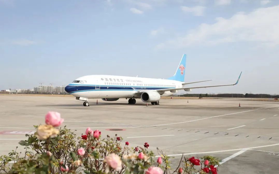 鑫苑喜报,捷报频传佳绩斐然