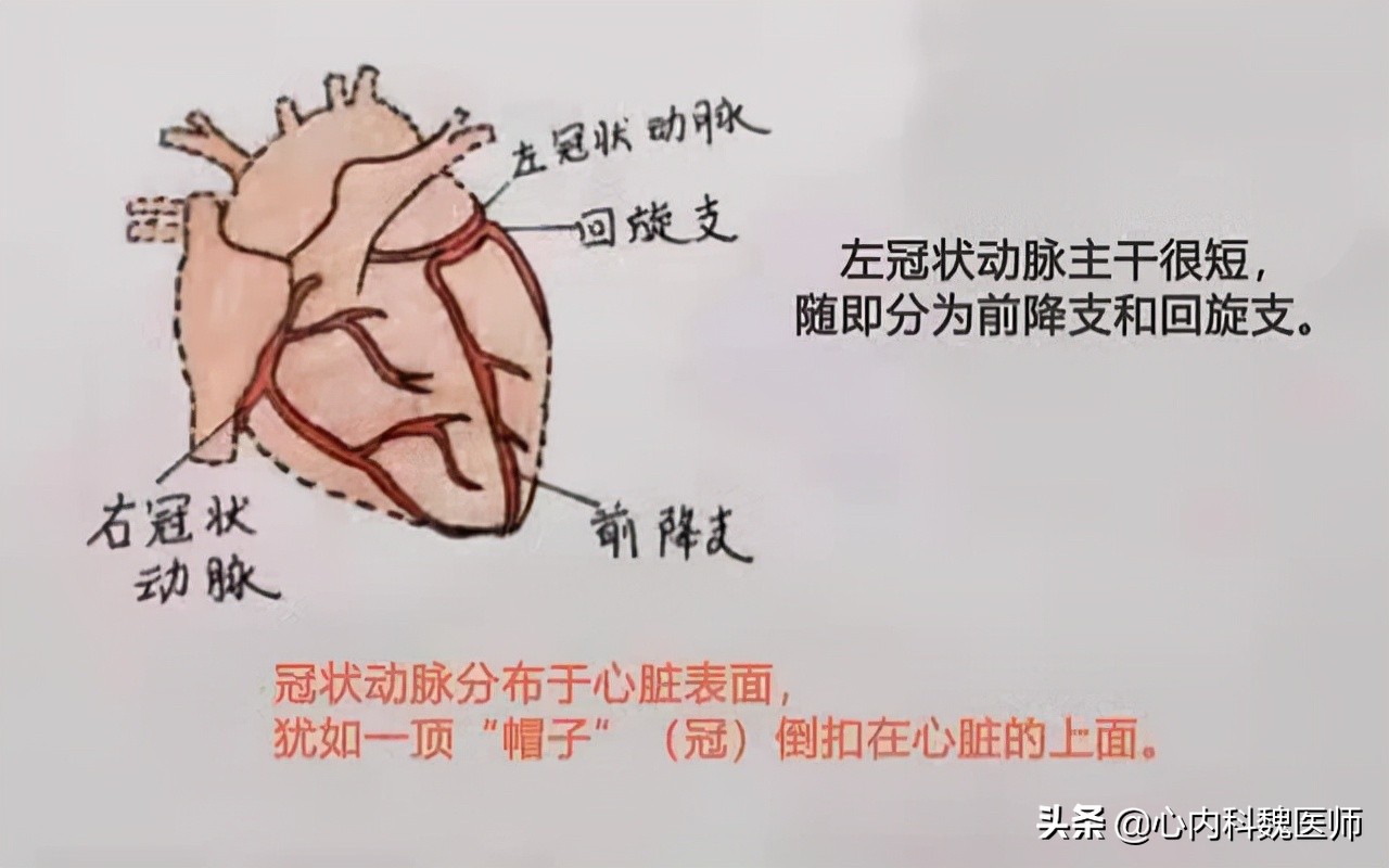 心肌缺血吃什么药效果更好,心肌缺血吃什么药效果比较好