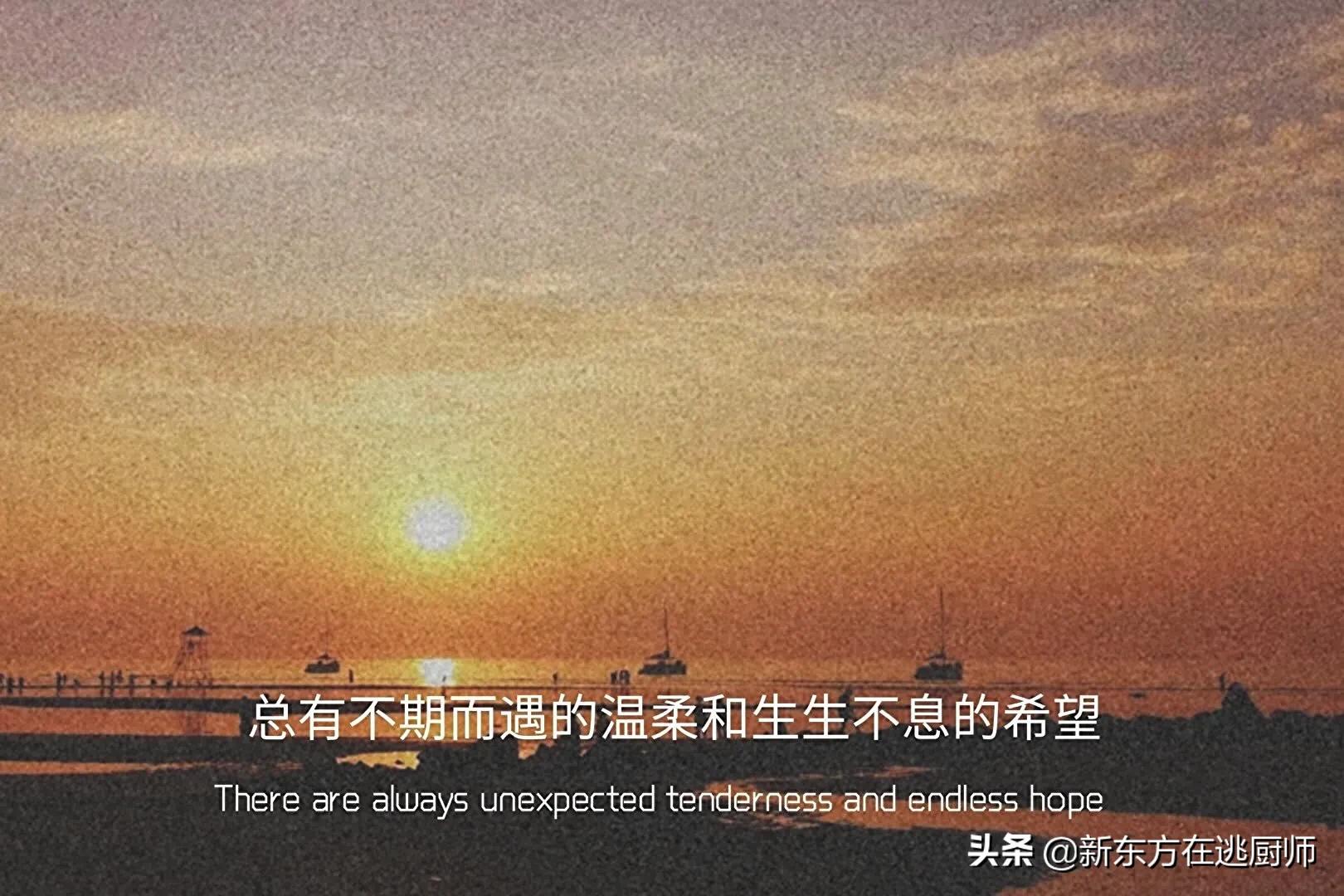 很小众却很惊艳的个性签名简短,收藏了很久的小众个性签名