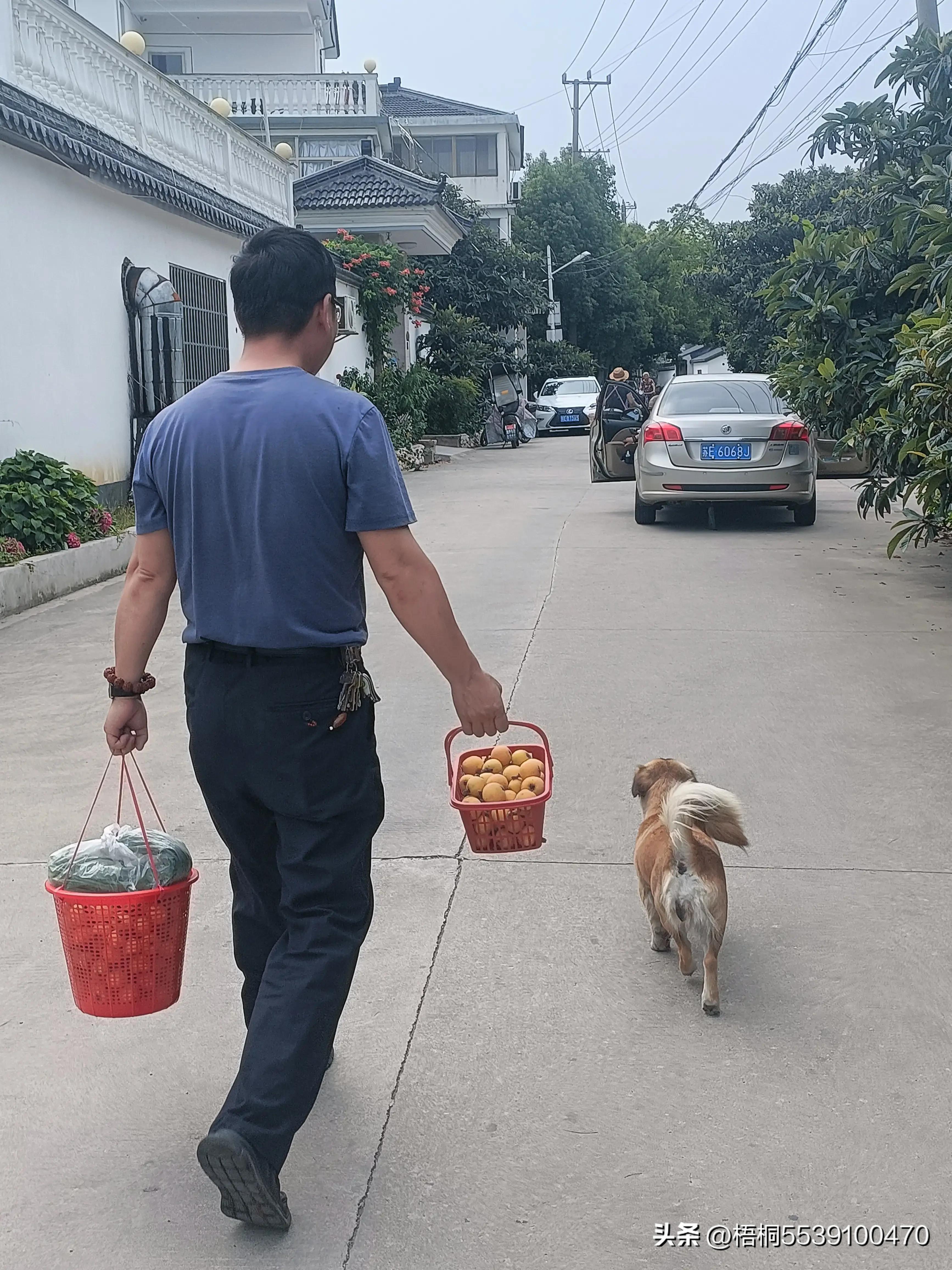 苏州洞庭西山有什么好玩的,苏州太湖东山还是西山好玩