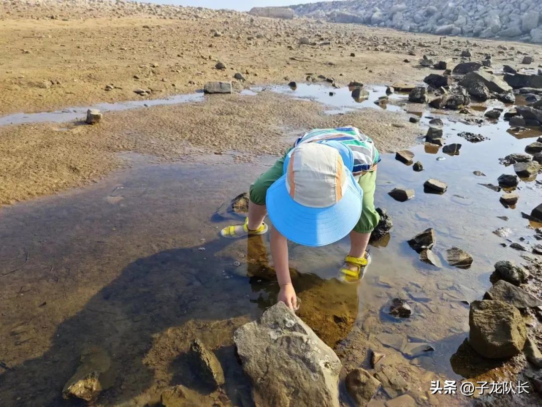 威海到青岛之间哪个地方赶海最好,青岛海边哪个海滩最好玩适合赶海