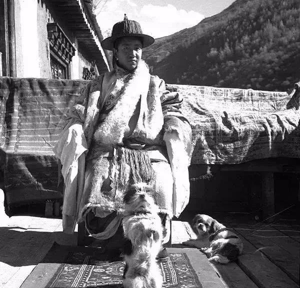 1937年日本入侵中国的真实历史,1937年日本进中国视频