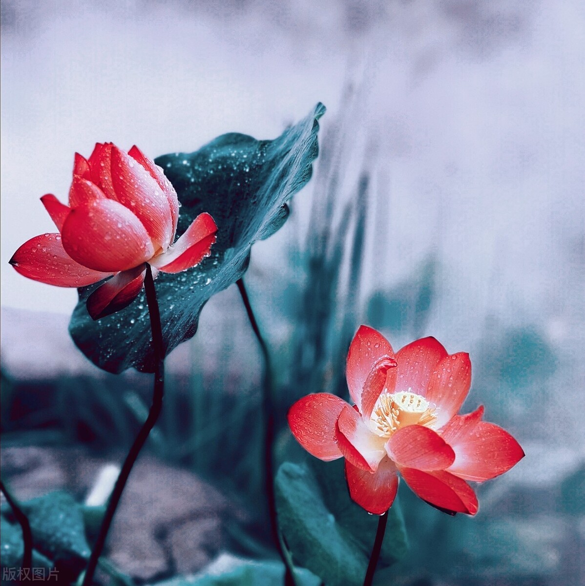 如何做好企业管理统计,企业统计在企业经营管理中的作用