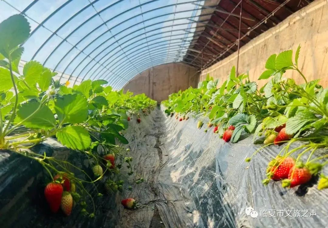 提到贵州你的第一印象是什么,提到甘肃的第一印象是什么