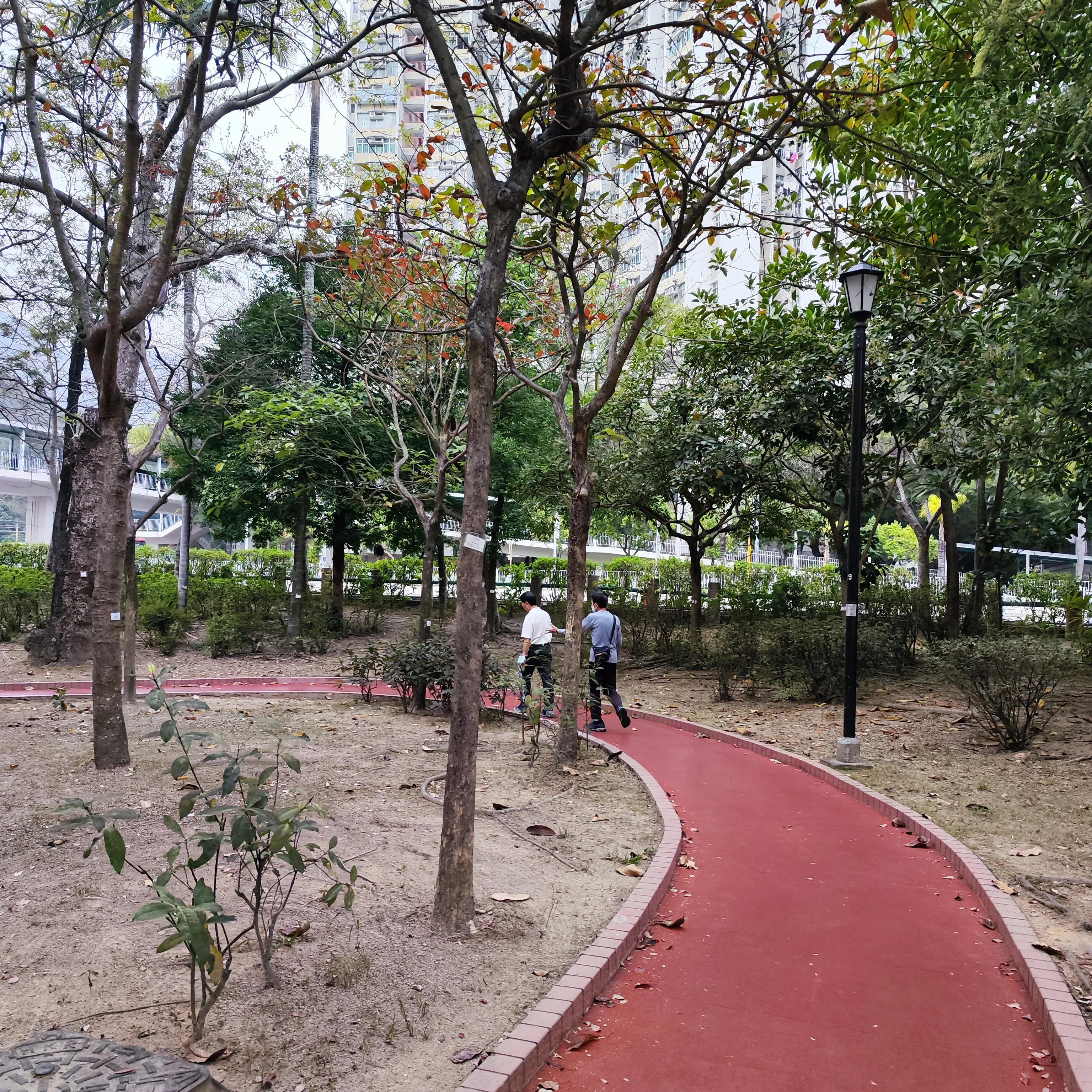 在香港居住了三个月,我的膝关节痛竟然好了。