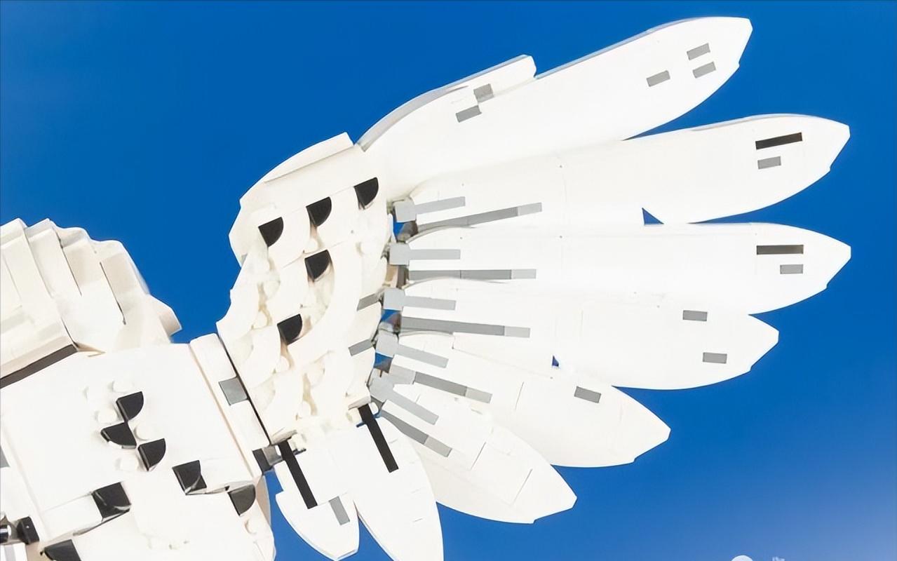 乐高哈利波特霍格沃茨75954,乐高哈利波特76391开箱