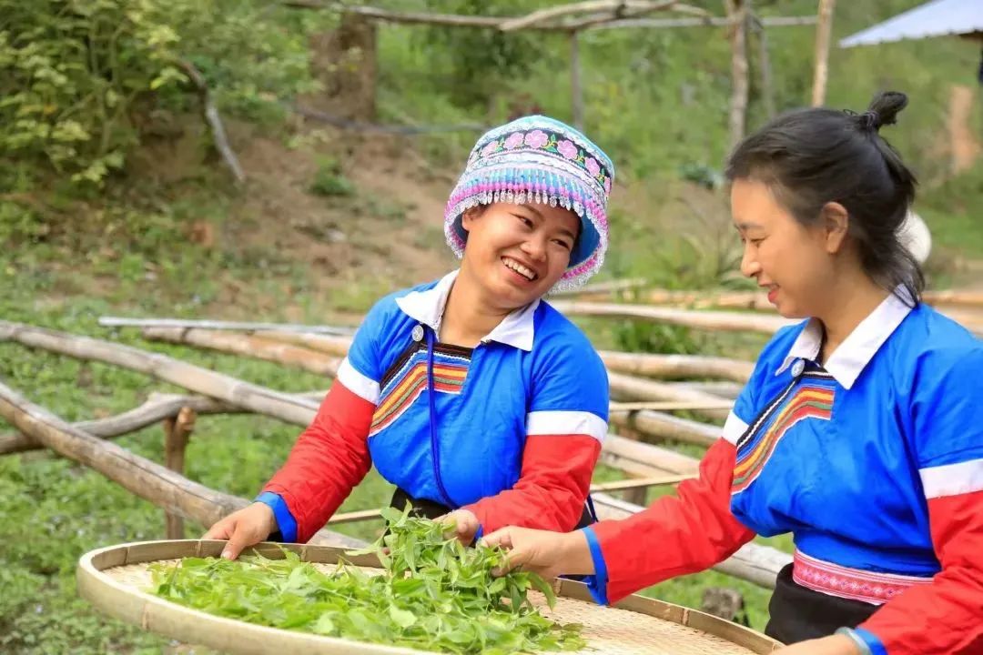 修享茶业钟海勇：以茶行修，打造中国茶文化的独特品牌之路