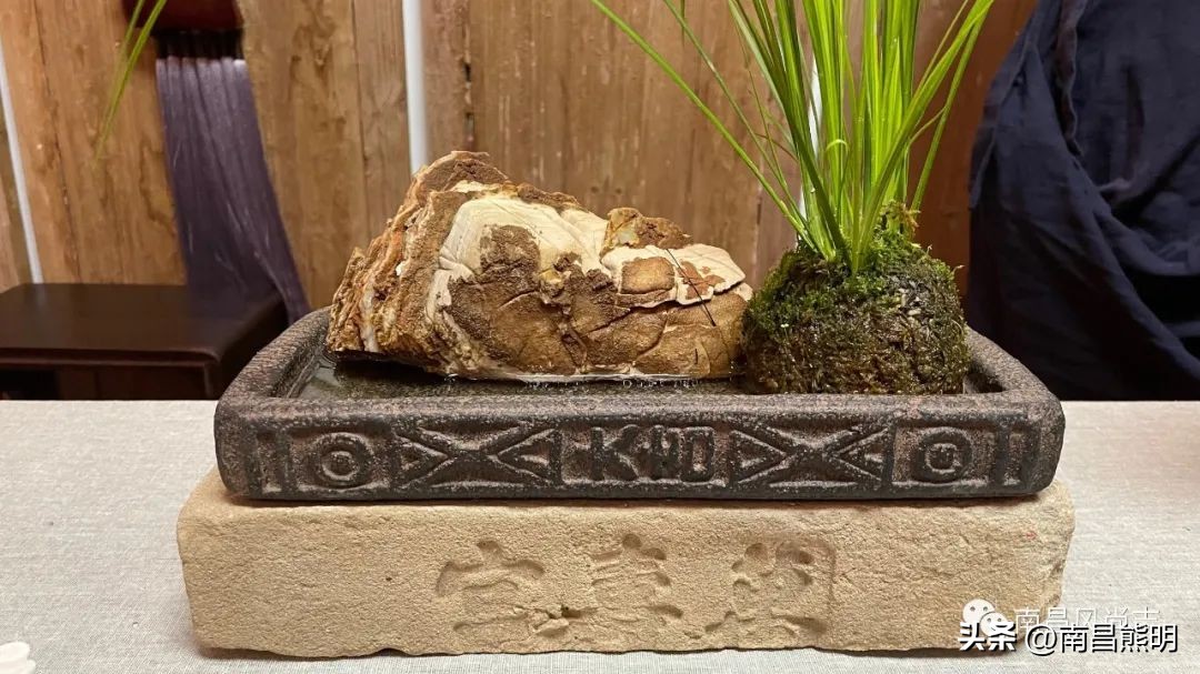 鍏竴鍎跨鑺傚叞鑺辫崏,鍏竴鍎跨鑺傜尓绗艰崏