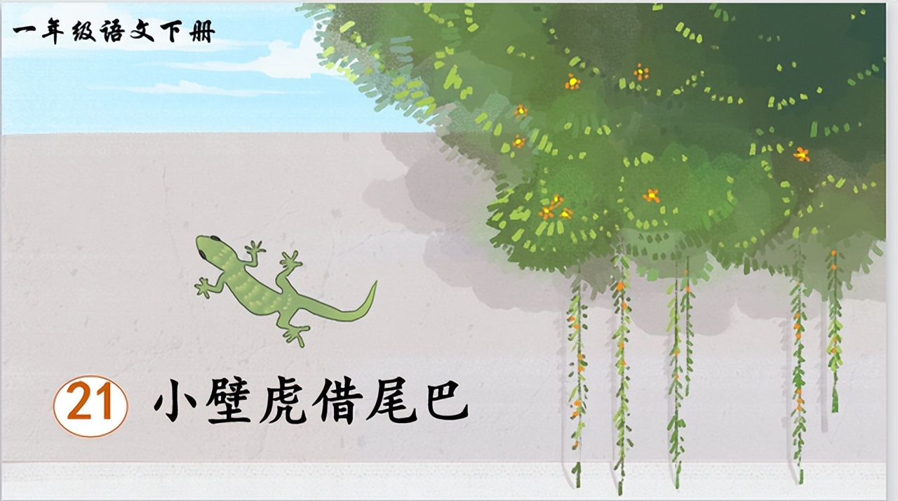 一年级下册语文壁虎借尾巴课件,小壁虎借尾巴一年级下册