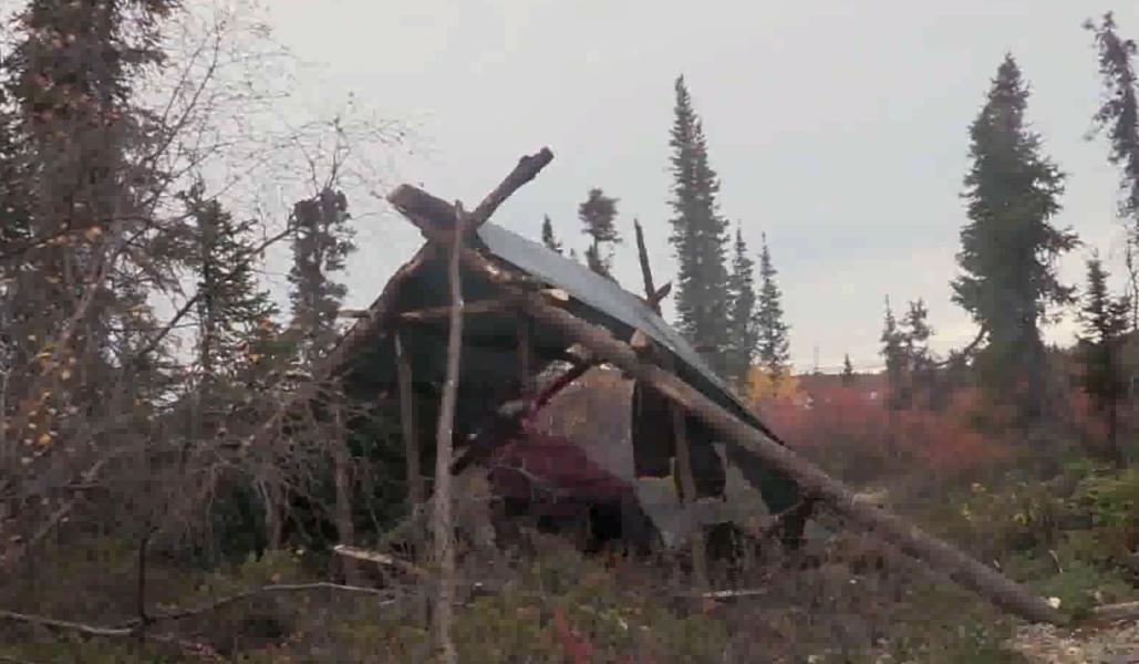 100天挑战荒野赢100万美元,荒野100天冠军