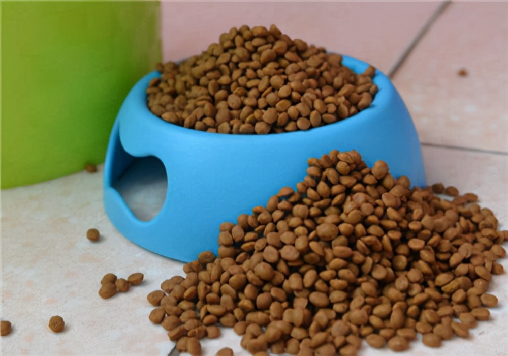 狗体温低且无食欲该怎么治疗,狗的鼻子发干没有食欲怎么办