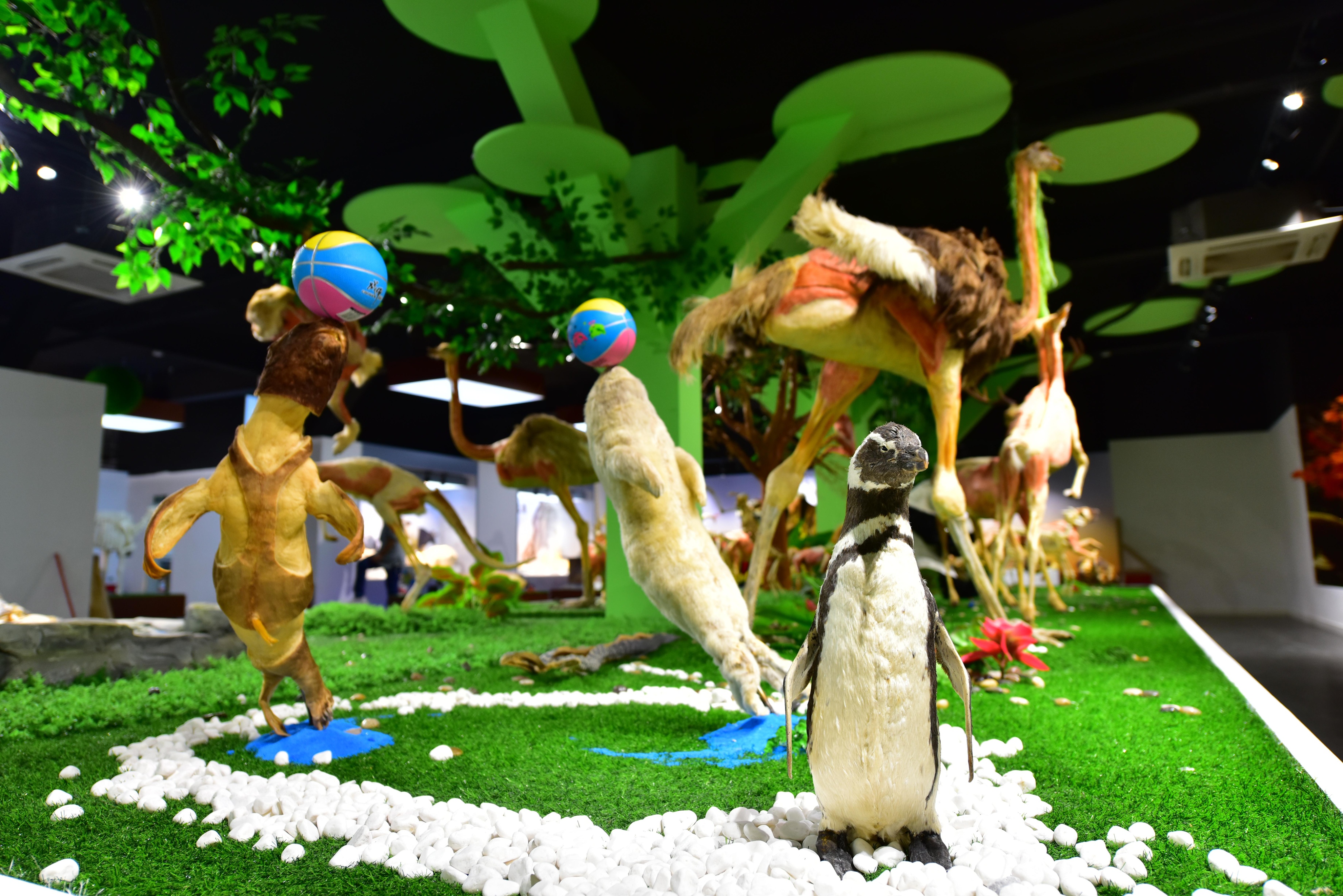 郑州七月份适合带孩子去哪旅游,郑州周边五一适合去哪旅游带孩子