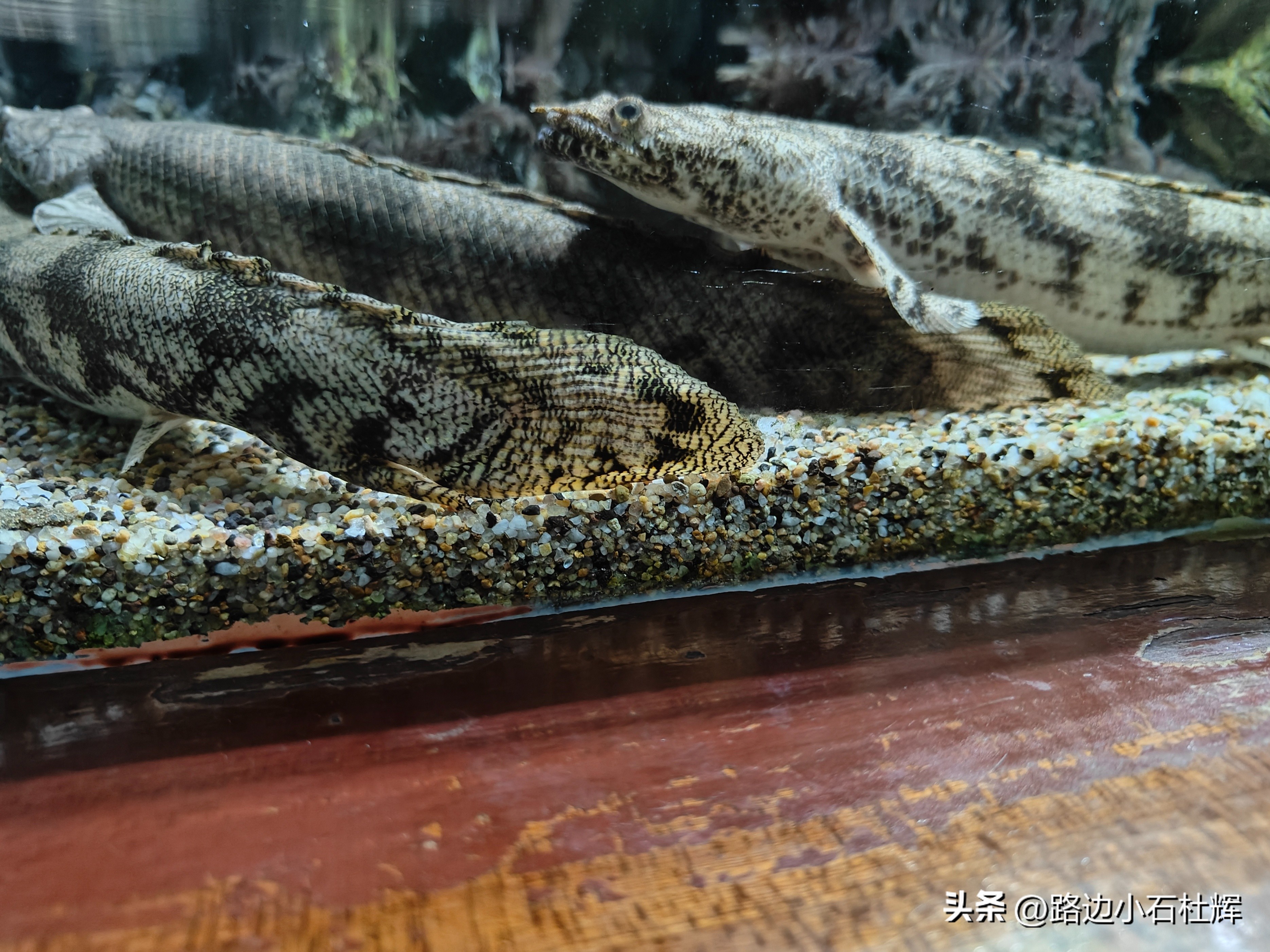 游游人间,游旅人间