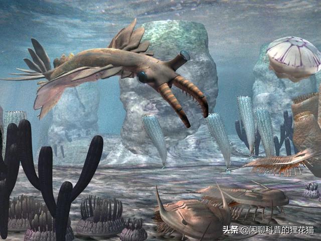 史前巨兽十大海洋霸主战斗力排名,史前最危险的十大海洋巨兽