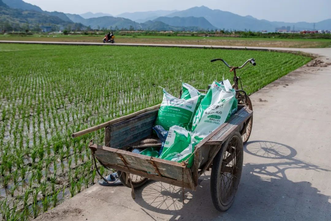 农资同行恶意低价竞争怎么办,遇到经销商乱拿货怎么办