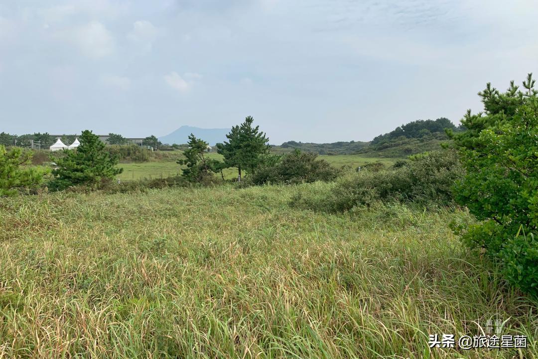 韩国|九月初的济州岛，时有风，偶有雨